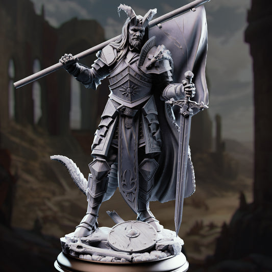 3D Printed Tiefling Veteran Fighter by DM Stash