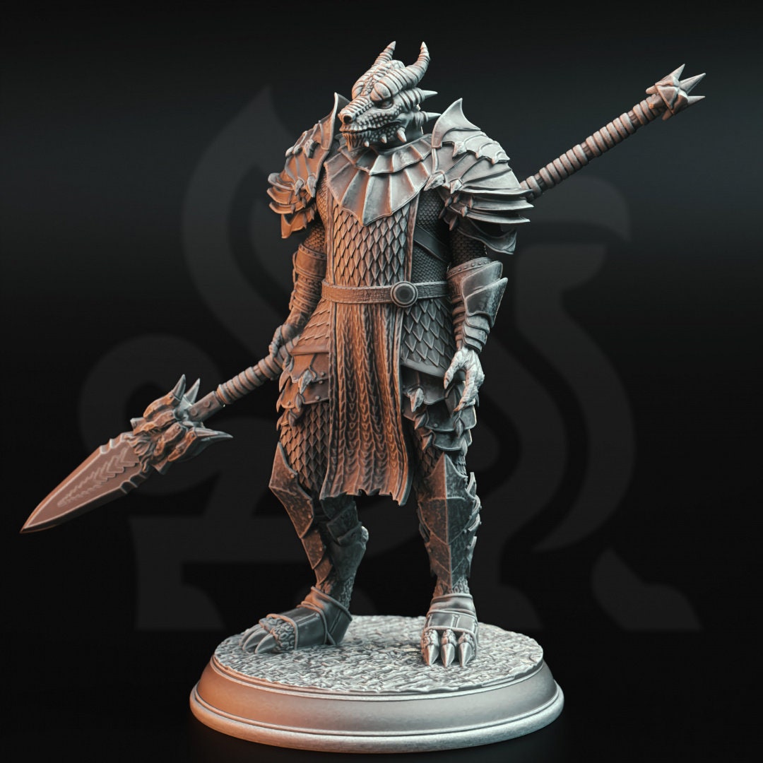 3D Printed Dragonborn Warriors by DM Stash