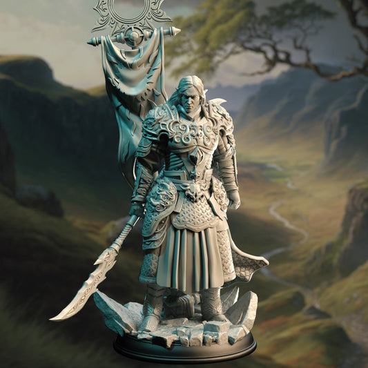 3D Printed Elven Eldritch Knight by DM Stash