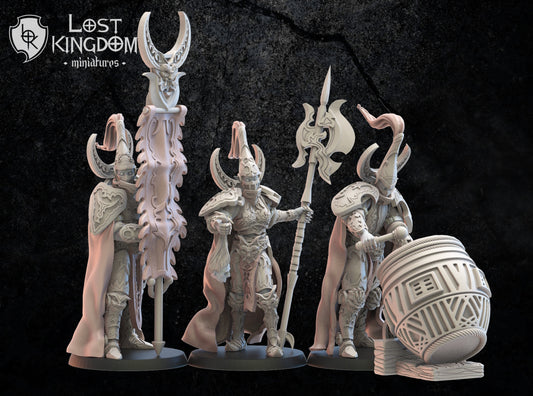 3d Printed Dark Elf Hisu Guard Command Group by Lost Kingdom Miniatures