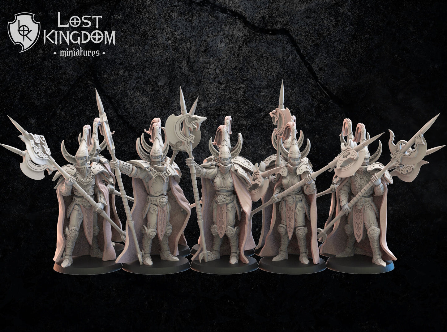 3d Printed Dark Elf Hisu Guard x10 by Lost Kingdom Miniatures