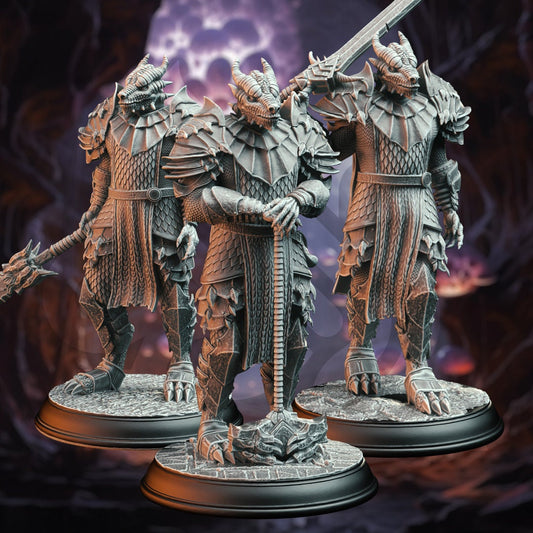 3D Printed Dragonborn Warriors by DM Stash