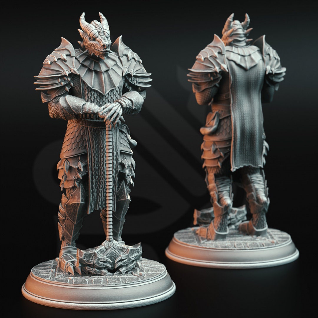 3D Printed Dragonborn Warriors by DM Stash