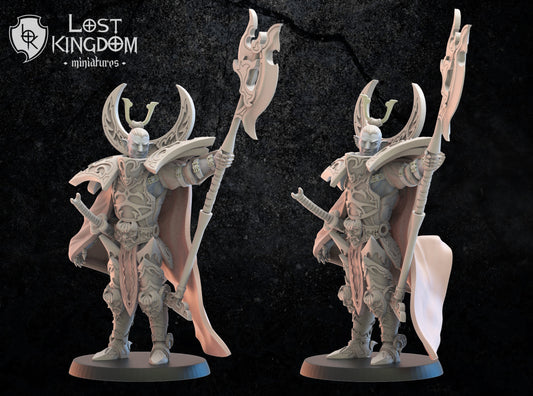 3d Printed Dark Elf Hero Junichiro by Lost Kingdom Miniatures