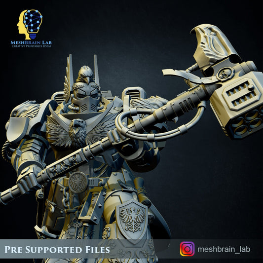 3d Printed Imperial Marine Master of the Order of Heaven by Meshbrain Labs