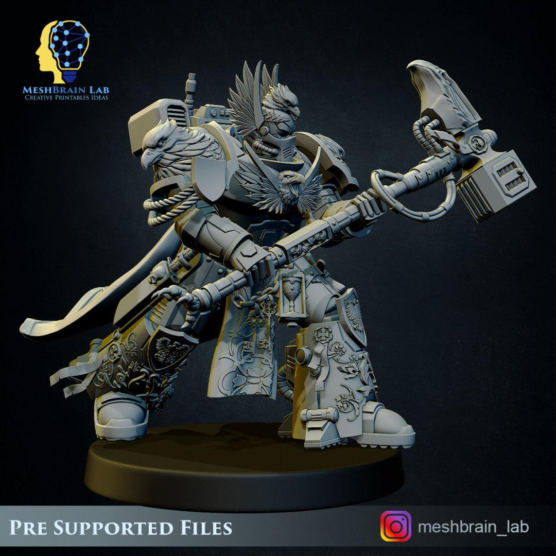 3d Printed Imperial Marine Master of the Order of Heaven by Meshbrain Labs