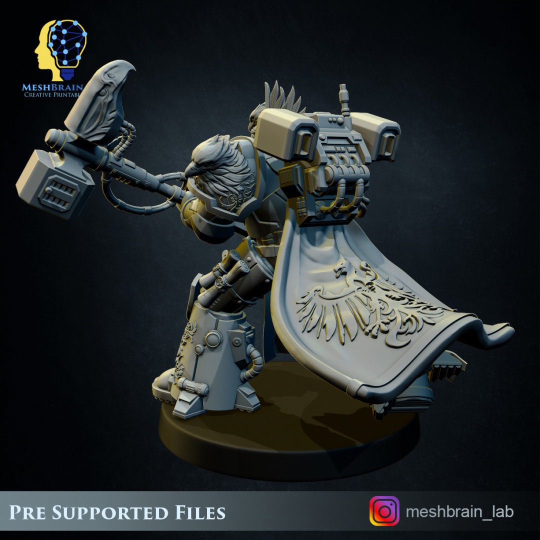 3d Printed Imperial Marine Master of the Order of Heaven by Meshbrain Labs