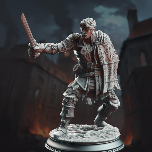 3D Printed Half Elf Swashbuckler by DM Stash