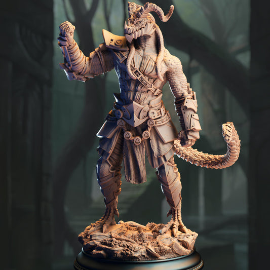 3D Printed Black Dragonborn Fighter by DM Stash