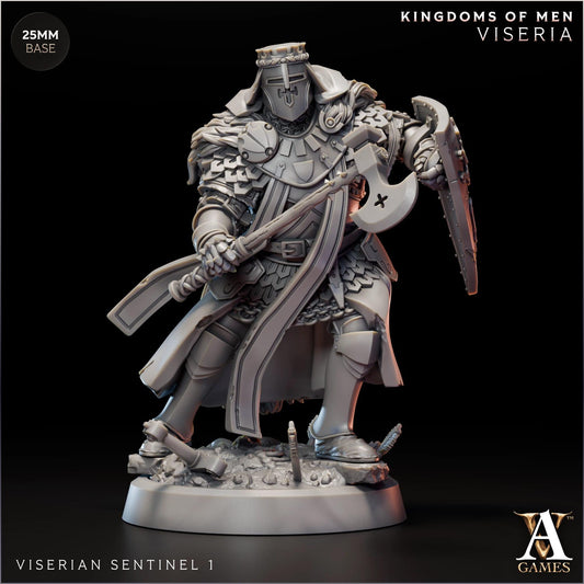 3D Printed Viserian Sentinels by Archvillain Games